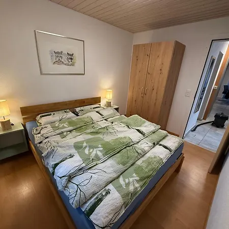 Chalet Nendaz 公寓