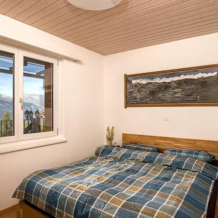 Chalet Nendaz 公寓