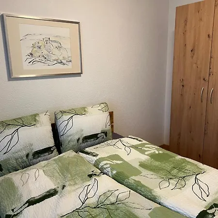 公寓 Chalet Nendaz