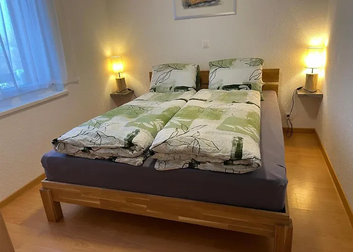 Chalet Nendaz 公寓 南达