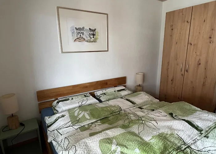 Chalet Nendaz * 南达