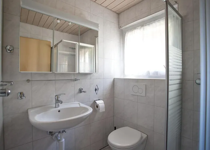 Chalet Nendaz 公寓 *